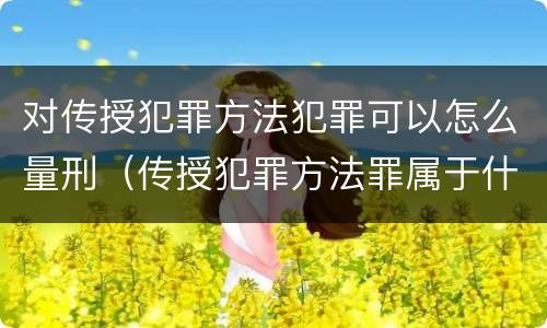 对传授犯罪方法犯罪可以怎么量刑（传授犯罪方法罪属于什么）