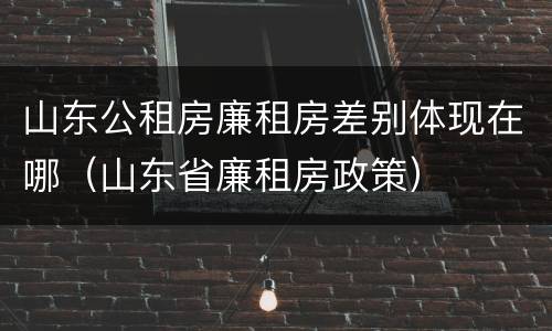 山东公租房廉租房差别体现在哪（山东省廉租房政策）