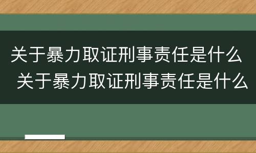关于暴力取证刑事责任是什么 关于暴力取证刑事责任是什么法律