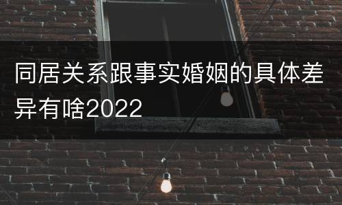 同居关系跟事实婚姻的具体差异有啥2022