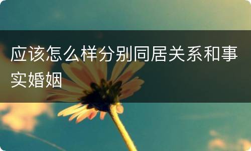 应该怎么样分别同居关系和事实婚姻