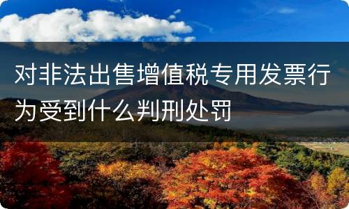 对非法出售增值税专用发票行为受到什么判刑处罚