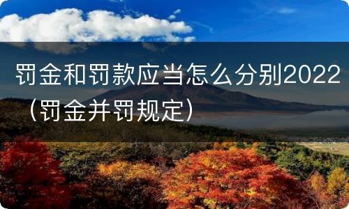 罚金和罚款应当怎么分别2022（罚金并罚规定）