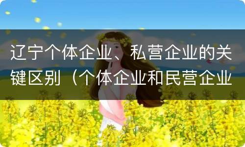 辽宁个体企业、私营企业的关键区别（个体企业和民营企业的区别）