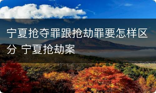 宁夏抢夺罪跟抢劫罪要怎样区分 宁夏抢劫案