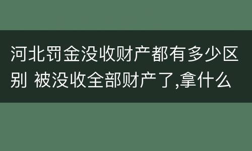 河北罚金没收财产都有多少区别 被没收全部财产了,拿什么交罚金