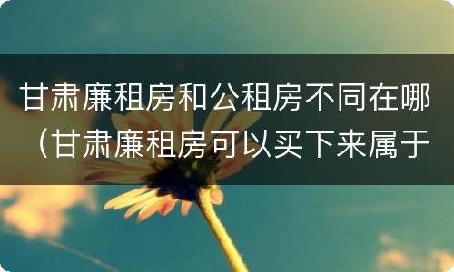 甘肃廉租房和公租房不同在哪（甘肃廉租房可以买下来属于自己吗）