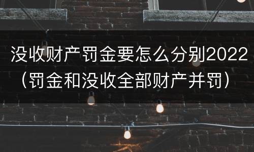 没收财产罚金要怎么分别2022（罚金和没收全部财产并罚）