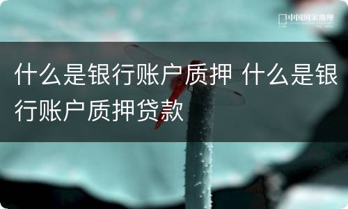 什么是银行账户质押 什么是银行账户质押贷款