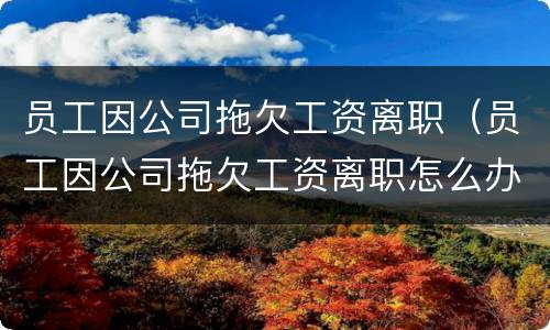 员工因公司拖欠工资离职（员工因公司拖欠工资离职怎么办）