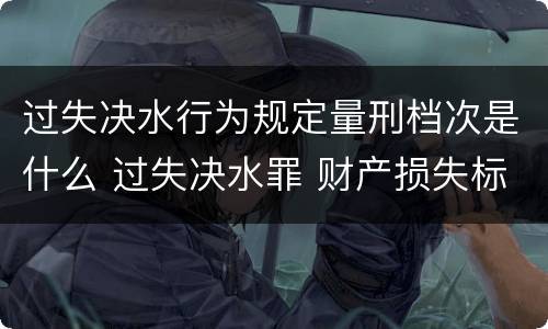 过失决水行为规定量刑档次是什么 过失决水罪 财产损失标准