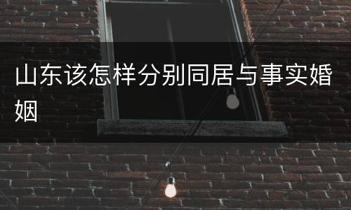 山东该怎样分别同居与事实婚姻