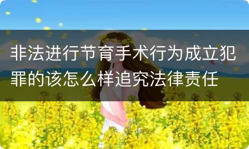 非法进行节育手术行为成立犯罪的该怎么样追究法律责任