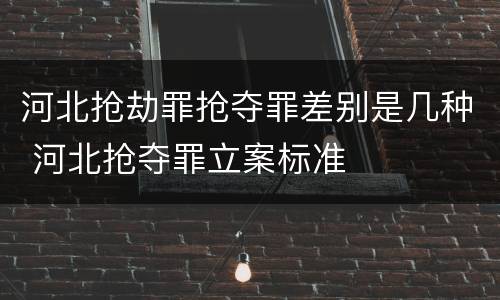 河北抢劫罪抢夺罪差别是几种 河北抢夺罪立案标准
