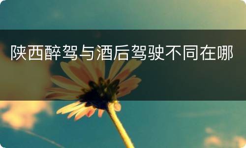 陕西醉驾与酒后驾驶不同在哪