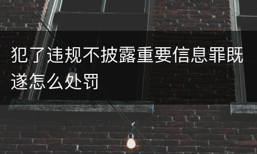 犯了违规不披露重要信息罪既遂怎么处罚