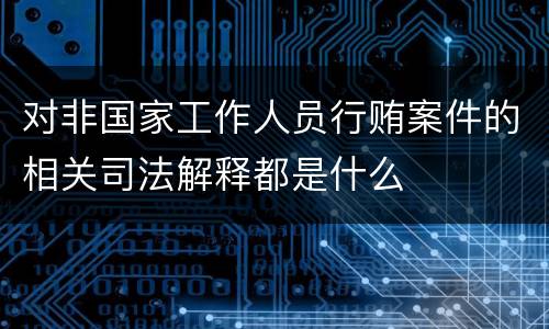 对非国家工作人员行贿案件的相关司法解释都是什么