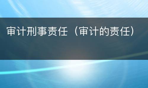 审计刑事责任（审计的责任）