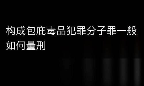 构成包庇毒品犯罪分子罪一般如何量刑