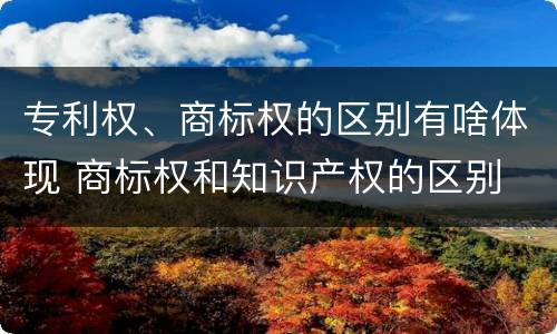 专利权、商标权的区别有啥体现 商标权和知识产权的区别