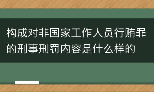 构成对非国家工作人员行贿罪的刑事刑罚内容是什么样的