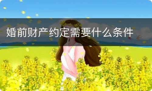 婚前财产约定需要什么条件
