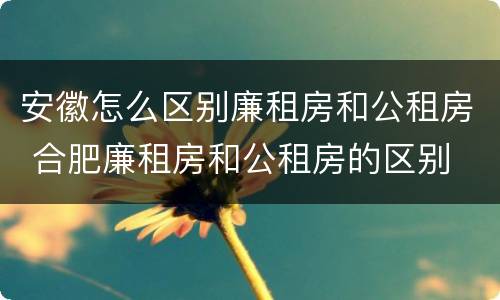 安徽怎么区别廉租房和公租房 合肥廉租房和公租房的区别