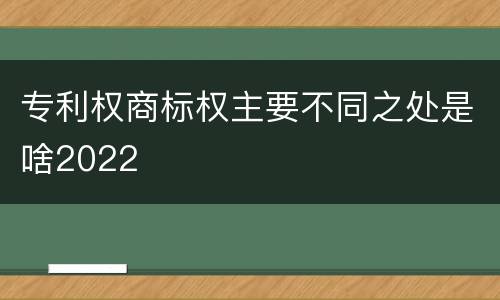 专利权商标权主要不同之处是啥2022