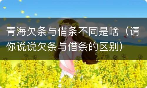 青海欠条与借条不同是啥（请你说说欠条与借条的区别）