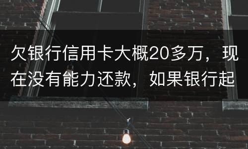 欠银行信用卡大概20多万，现在没有能力还款，如果银行起诉，法院会怎么判决，如果强