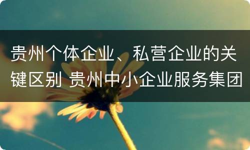 贵州个体企业、私营企业的关键区别 贵州中小企业服务集团是民营