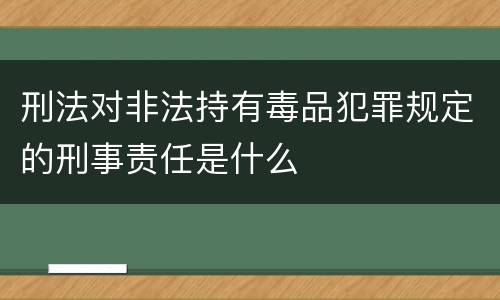 刑法对非法持有毒品犯罪规定的刑事责任是什么