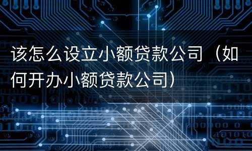 该怎么设立小额贷款公司（如何开办小额贷款公司）