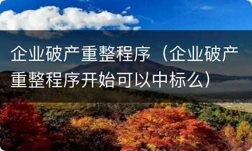 企业破产重整程序（企业破产重整程序开始可以中标么）