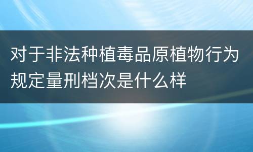 对于非法种植毒品原植物行为规定量刑档次是什么样