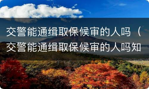 交警能通缉取保候审的人吗（交警能通缉取保候审的人吗知乎）