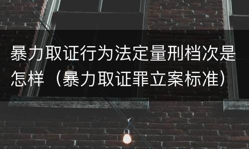 暴力取证行为法定量刑档次是怎样（暴力取证罪立案标准）