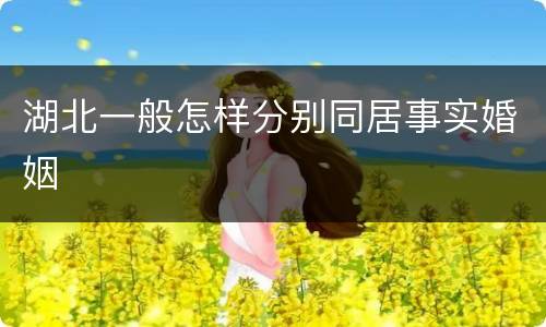 湖北一般怎样分别同居事实婚姻