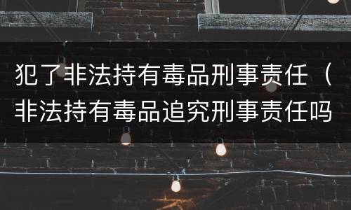 犯了非法持有毒品刑事责任（非法持有毒品追究刑事责任吗）