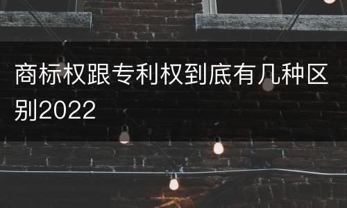 商标权跟专利权到底有几种区别2022