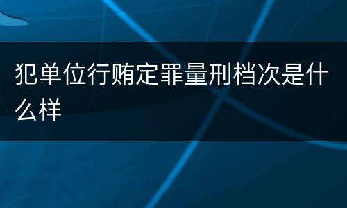 犯单位行贿定罪量刑档次是什么样