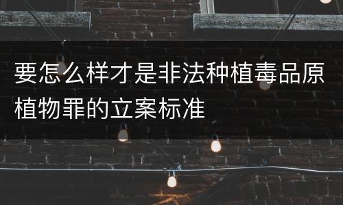 要怎么样才是非法种植毒品原植物罪的立案标准