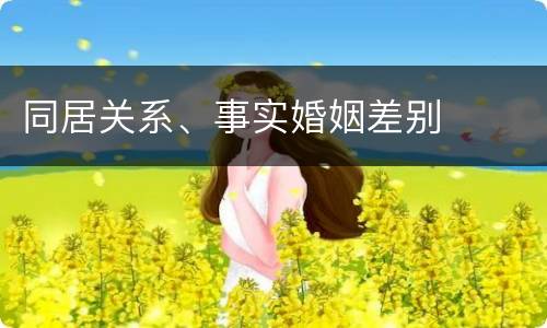 同居关系、事实婚姻差别