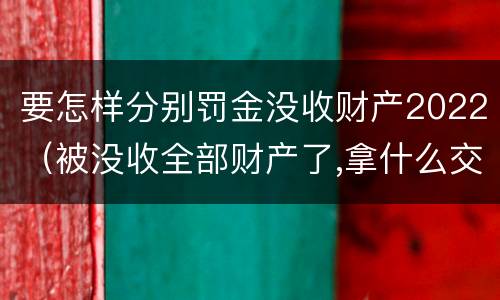 要怎样分别罚金没收财产2022（被没收全部财产了,拿什么交罚金）
