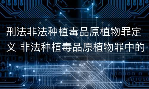 刑法非法种植毒品原植物罪定义 非法种植毒品原植物罪中的种植行为