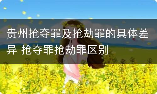 贵州抢夺罪及抢劫罪的具体差异 抢夺罪抢劫罪区别