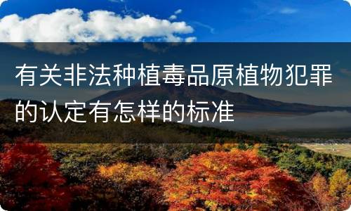 有关非法种植毒品原植物犯罪的认定有怎样的标准
