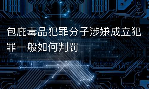 包庇毒品犯罪分子涉嫌成立犯罪一般如何判罚