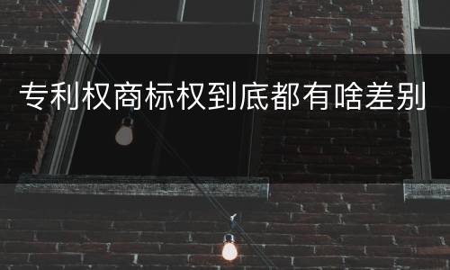 专利权商标权到底都有啥差别