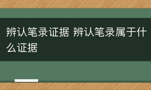 辨认笔录证据 辨认笔录属于什么证据